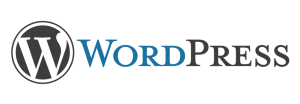 Criação de Sites em WordPress em Castanhal